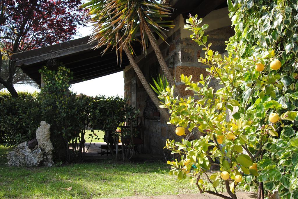 Tenuta Di Pontesodo Montalto di Castro Exterior foto